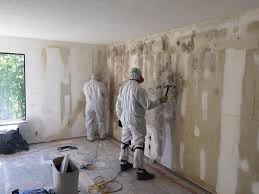 Why You Should Choose Our Mold Remediation Services in Duenweg, MO